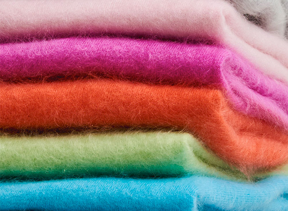 Logo absolut cashmere