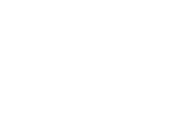 Logo Noir