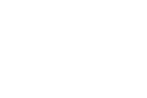 Logo Lulu Copenhagen