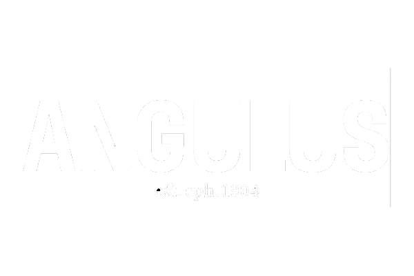 Logo Angulus