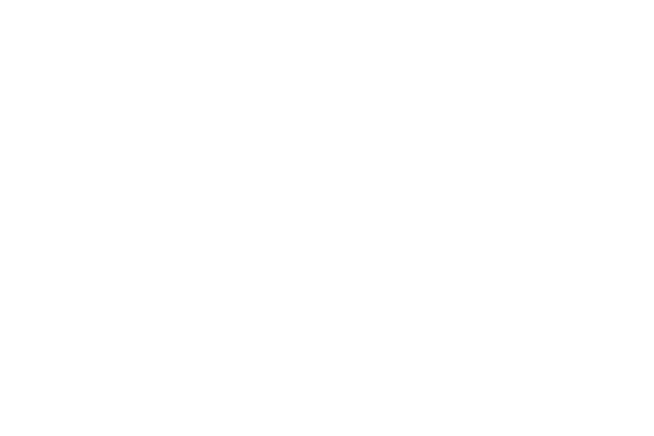 Logo Voila