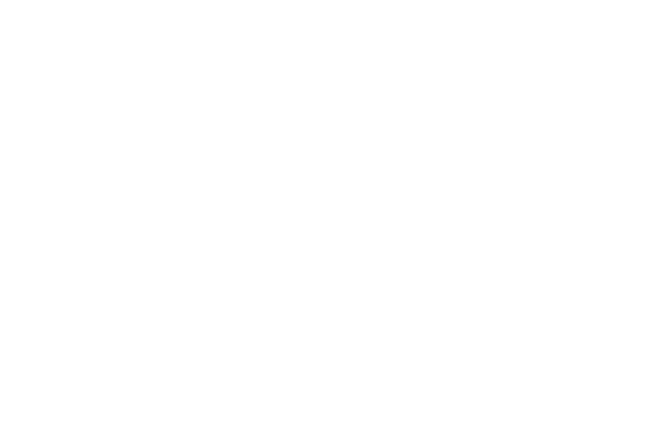 Logo A-View
