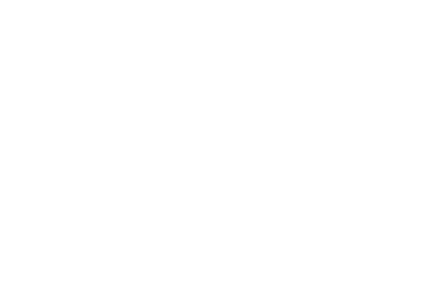 Logo Muse
