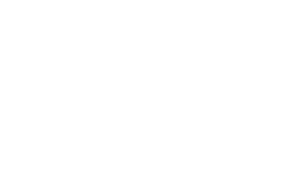 Logo Shalimar