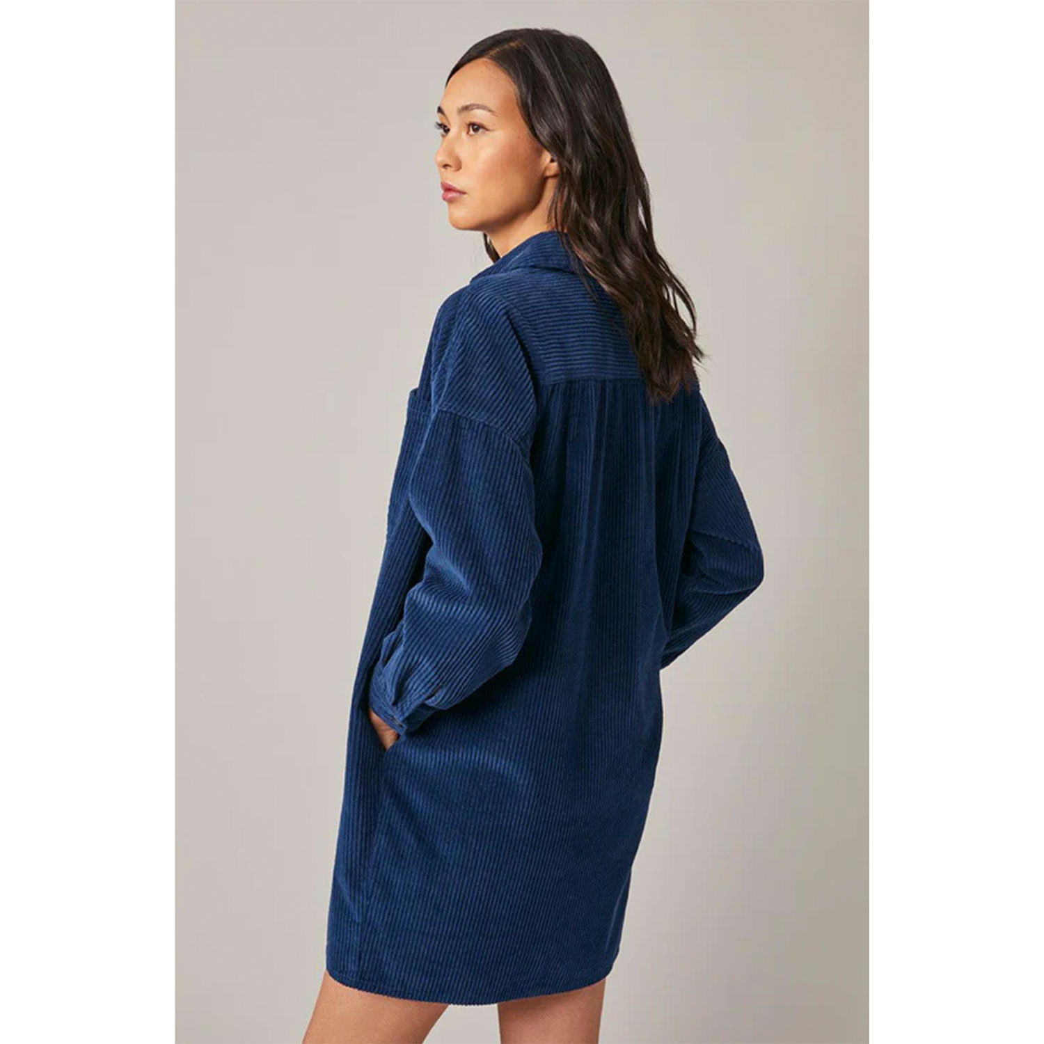 Harris Wilson Frane Harris Wilson Kleid Dunkelblau Model hinten