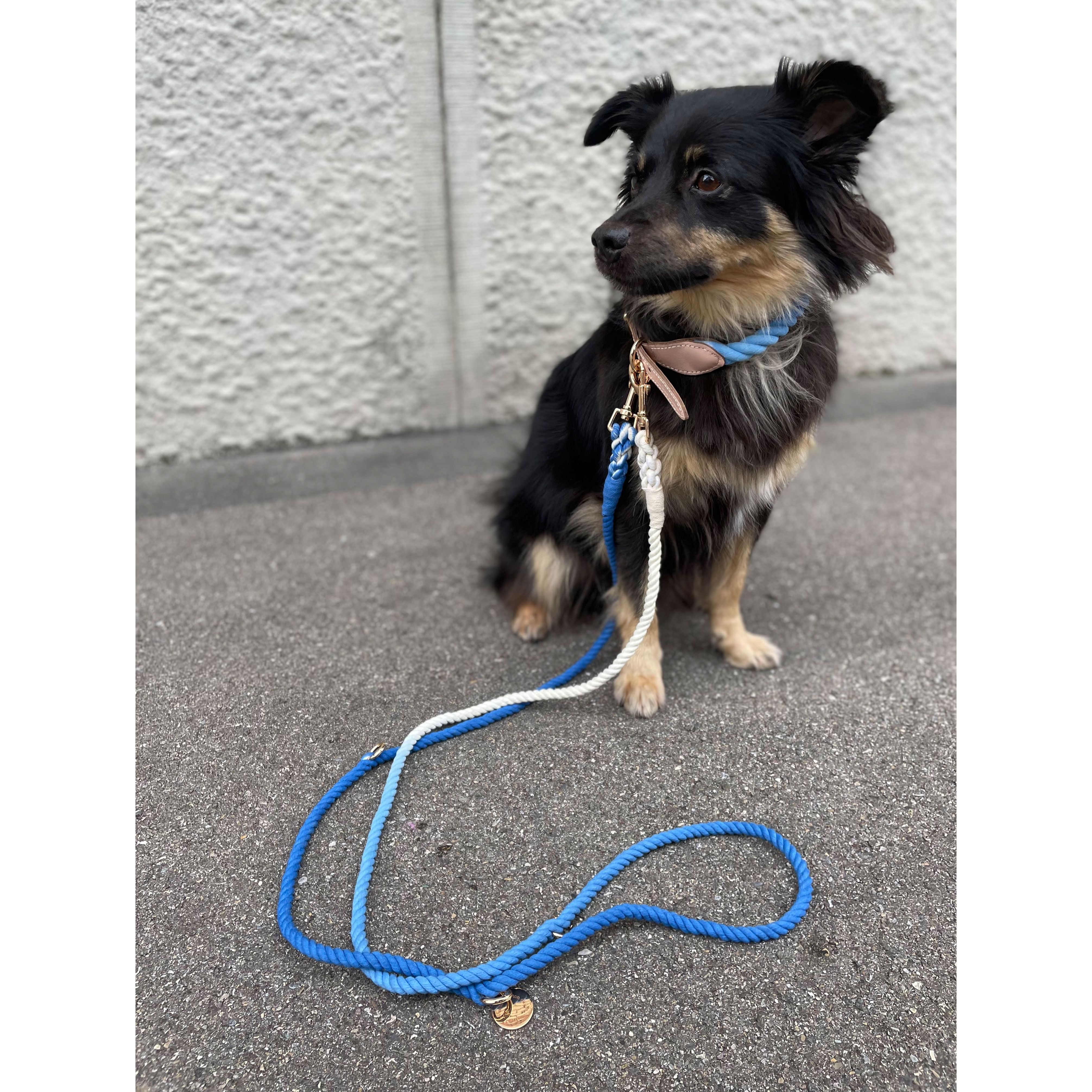 Goofy Hundeleine Blau