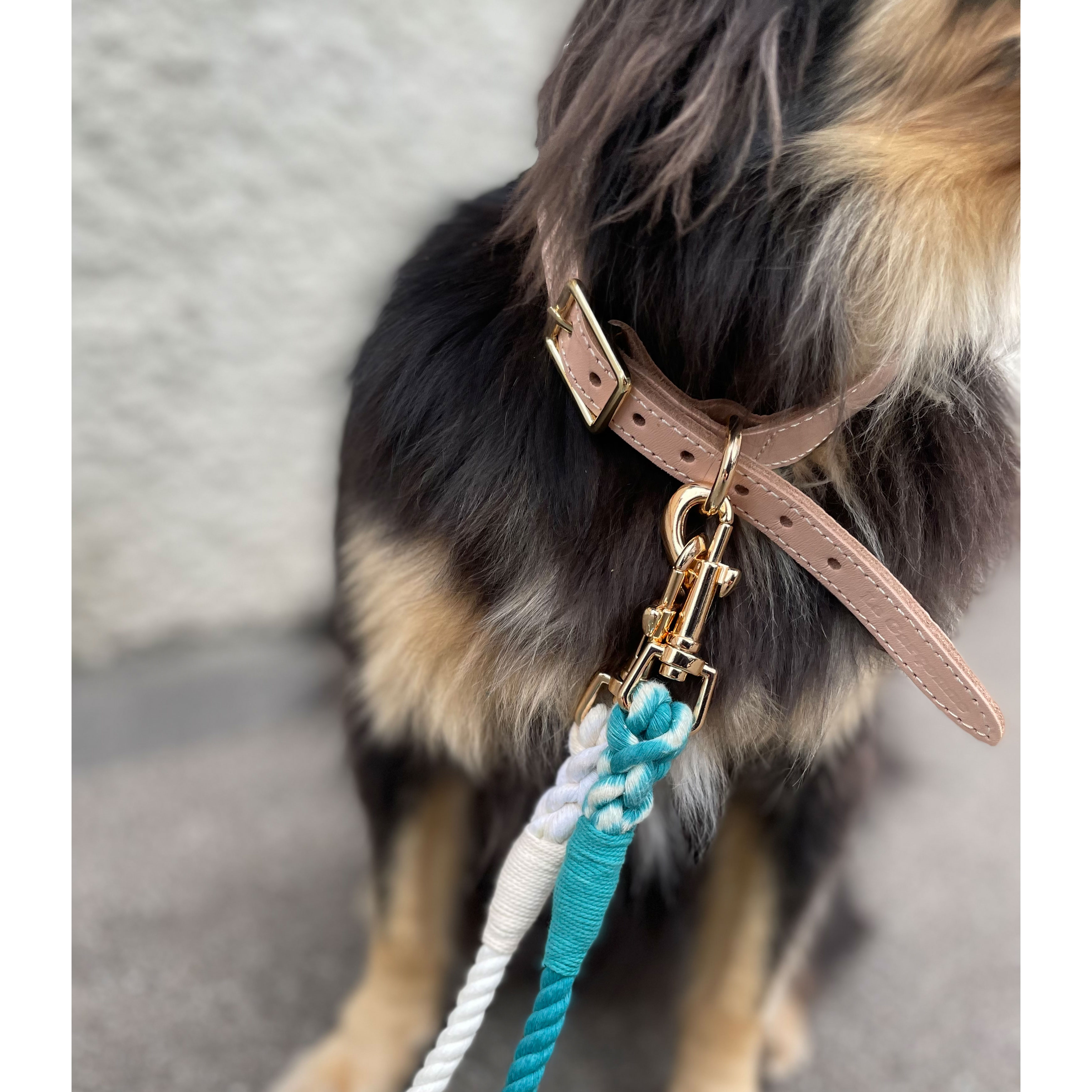 La Garçonne Accessoires Goofy Hundehalsband Türkis