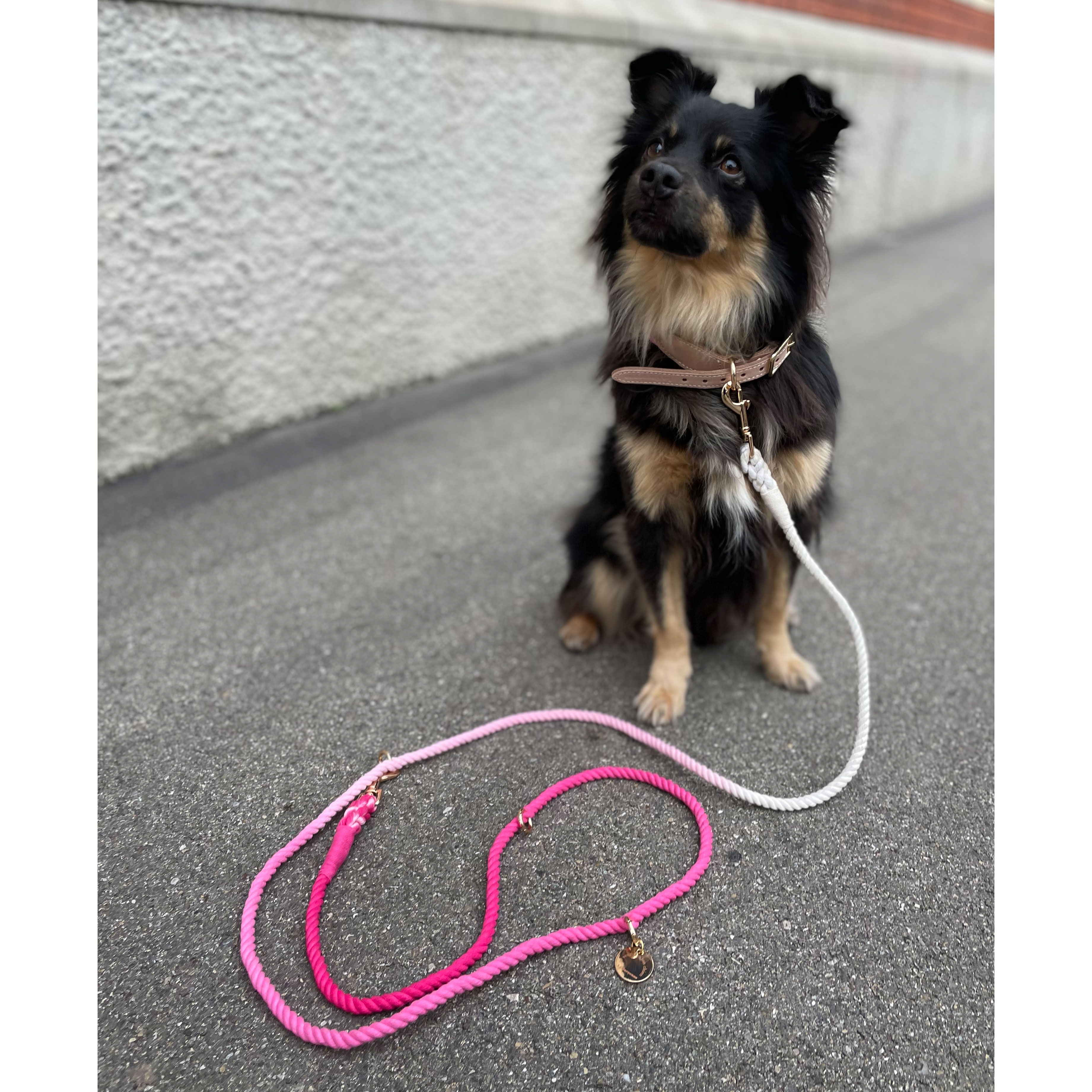 La Garçonne Accessoires La Garçonne Hundeleine Goofy Pink Hunde Model seite Baumwolle und Leder