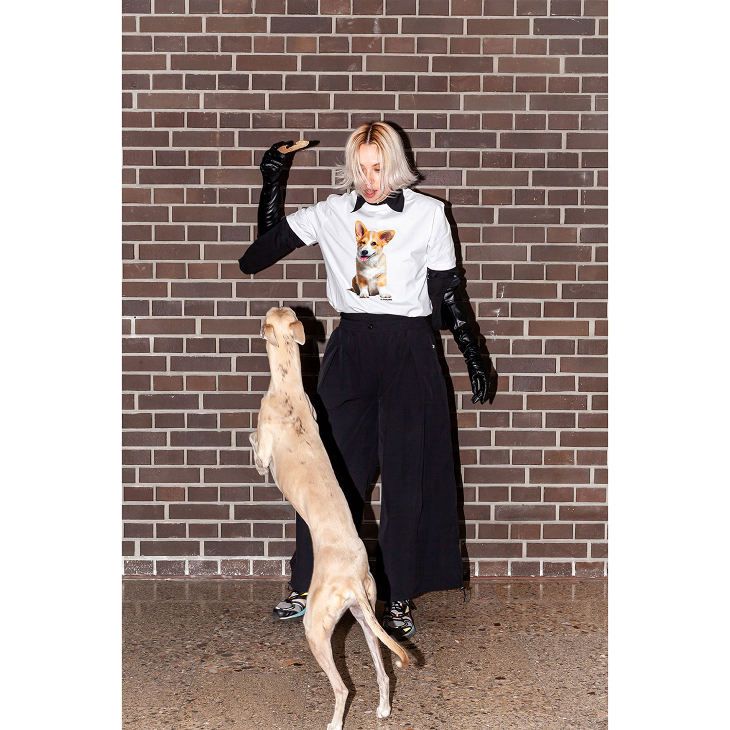 La Garçonne Vetements Puppy Love T-Shirt Corgy