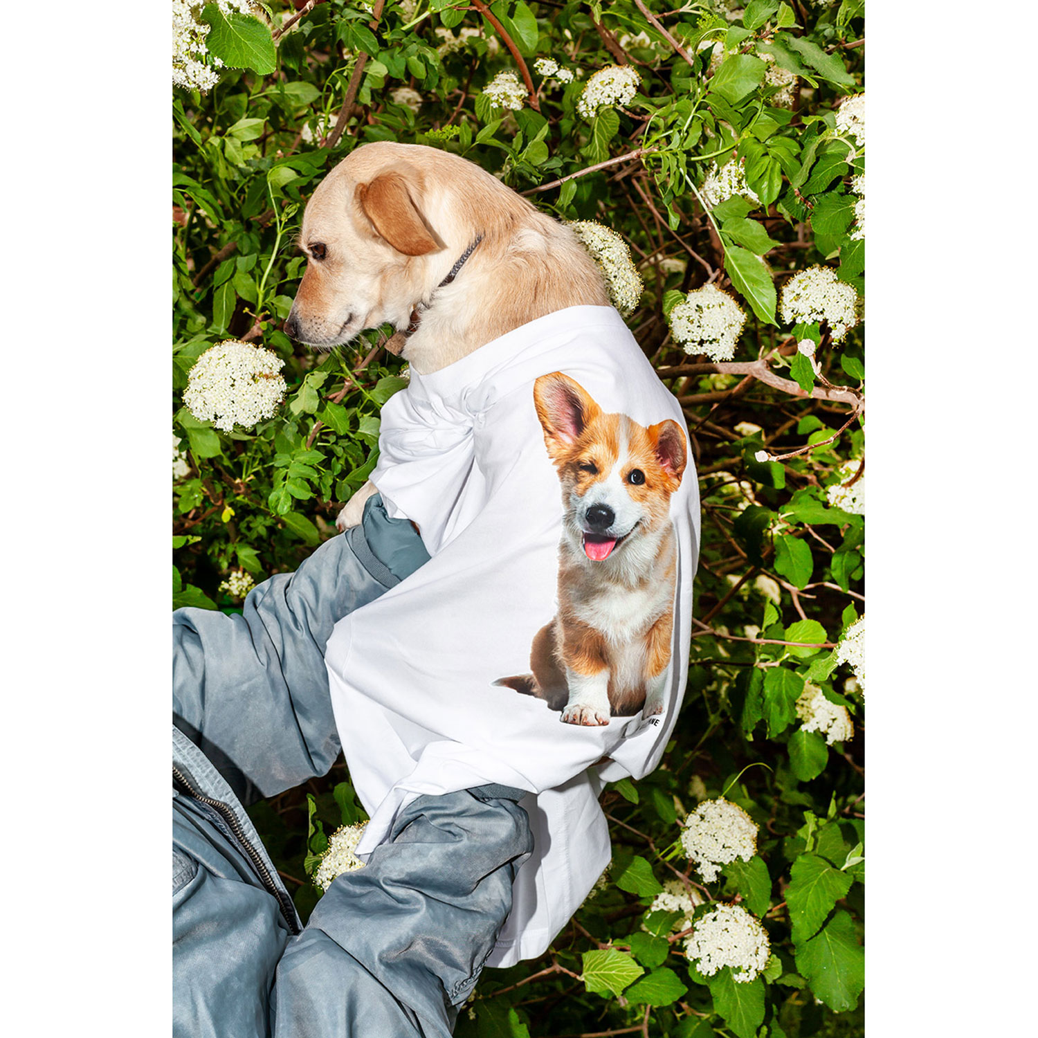 La Garçonne Vetements Puppy Love T-Shirt Corgy